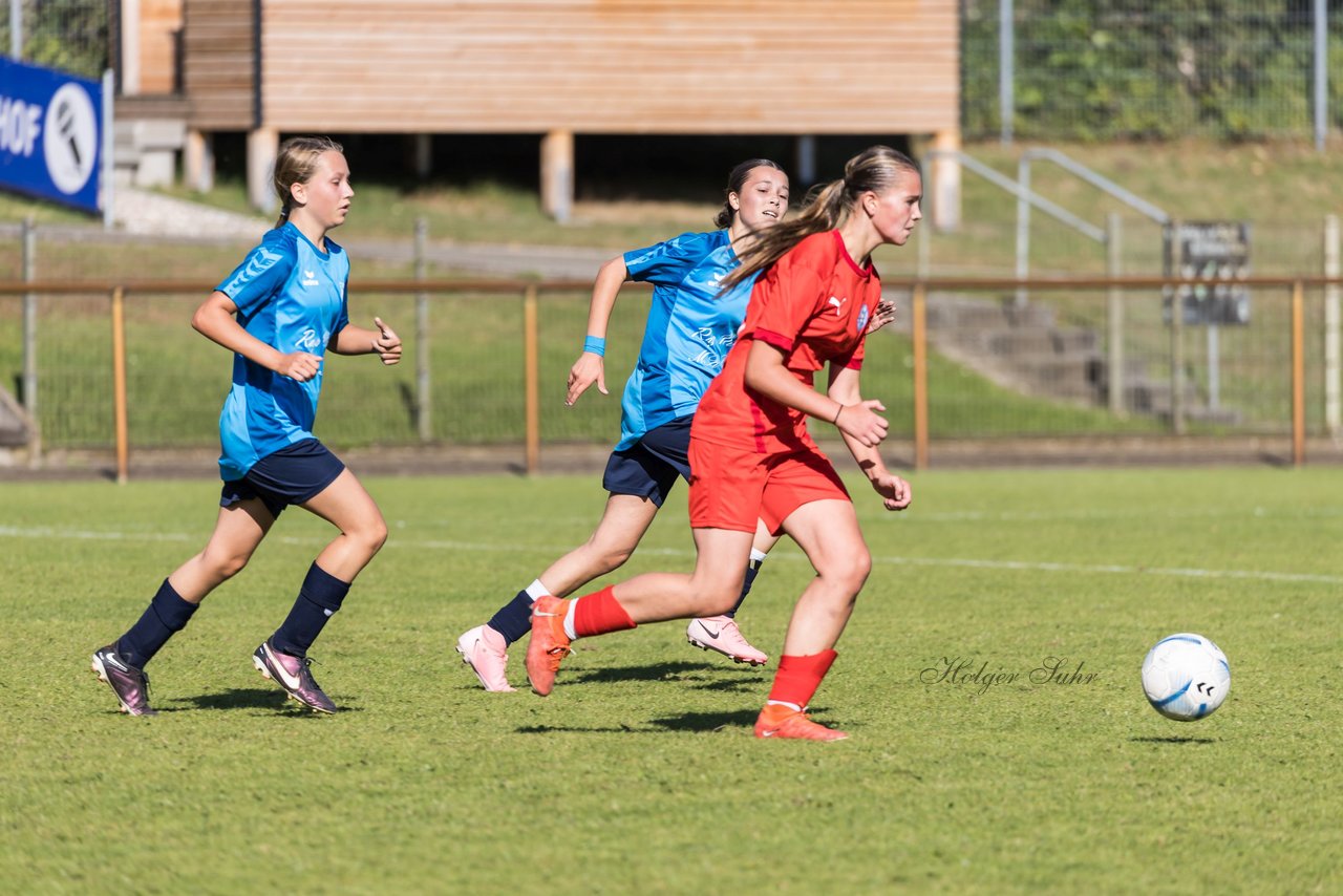 Bild 302 - wBJ TuS Rotenhof - Holstein Kiel : Ergebnis: 1:4